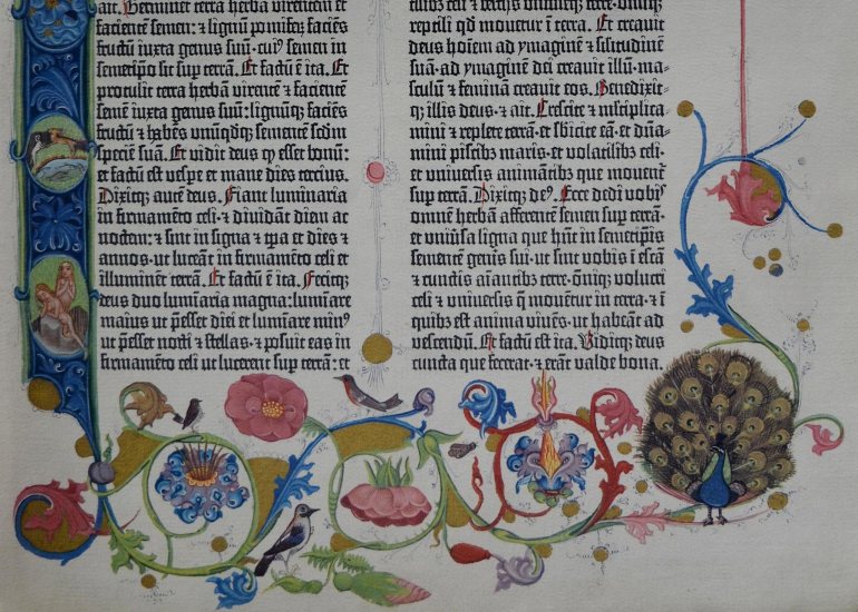 Birds Images in Incunabula