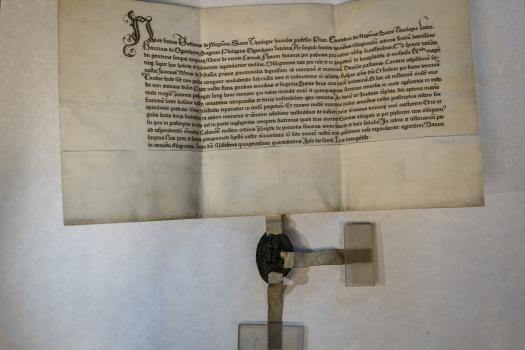 Обязательство монастыря кармелитов в немецком Майнце, данное магистру Иоганну Вириху о том, что принимает от него вклад в 150 рейеских золотых флоринов, 1514 г.