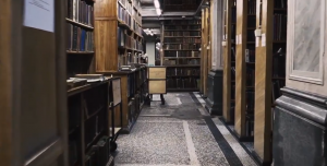A Stroll in the Library