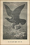 Рубакин Н. А. Картины из жизни животных. – Вильно, 1898