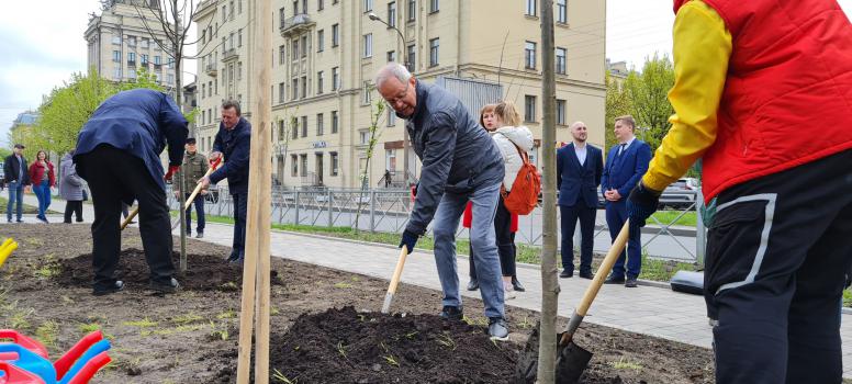 Генеральный директор РНБ Владимир Геннадьевич Гронский посадил дерево на Аллее книг.