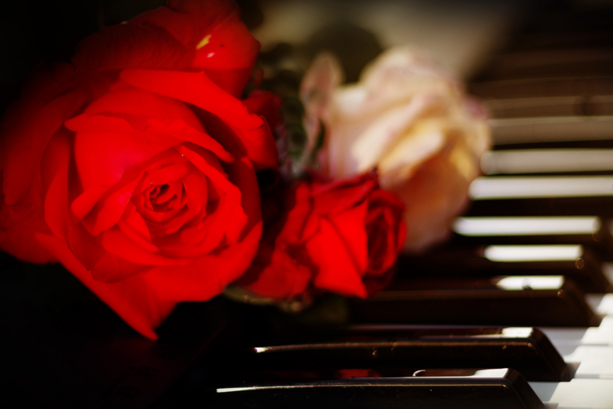 Цветы на концерте. Немного печальный цветок музыкальный. Музыкальный цветок. Романс.
