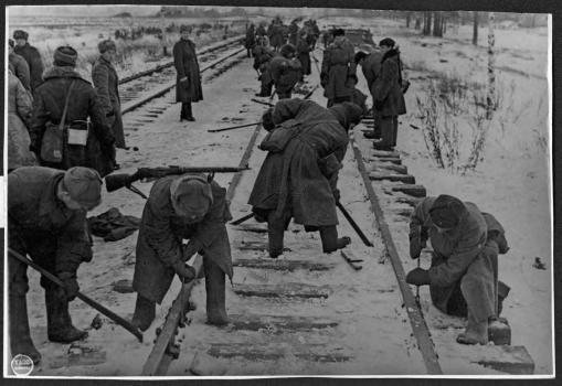 Восстановление железнодорожного пути на освобожденном участке Урицк-Стрельна. 21 января 1944 г. : [фотография].